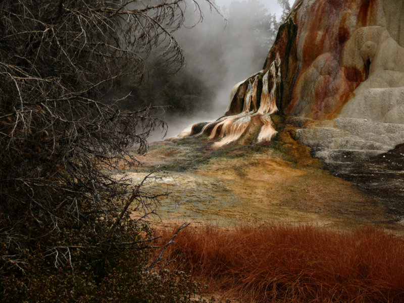 Colors, Mammoth Hot Springs, Yellowstone National Park, Wyoming, 2008