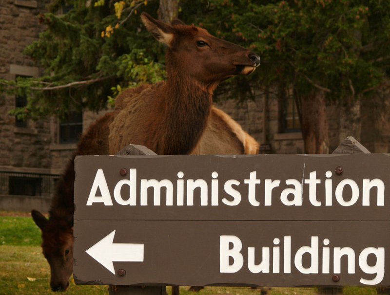 Administration Building, Mammoth Hot Springs, Yellowstone National Park, Wyoming, 2008