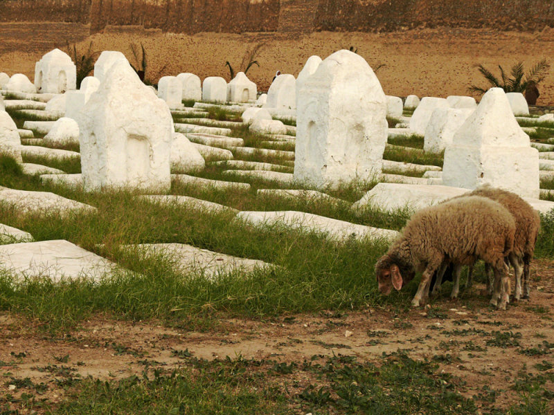 Cemetery, Kairouan, Tunisia, 2008