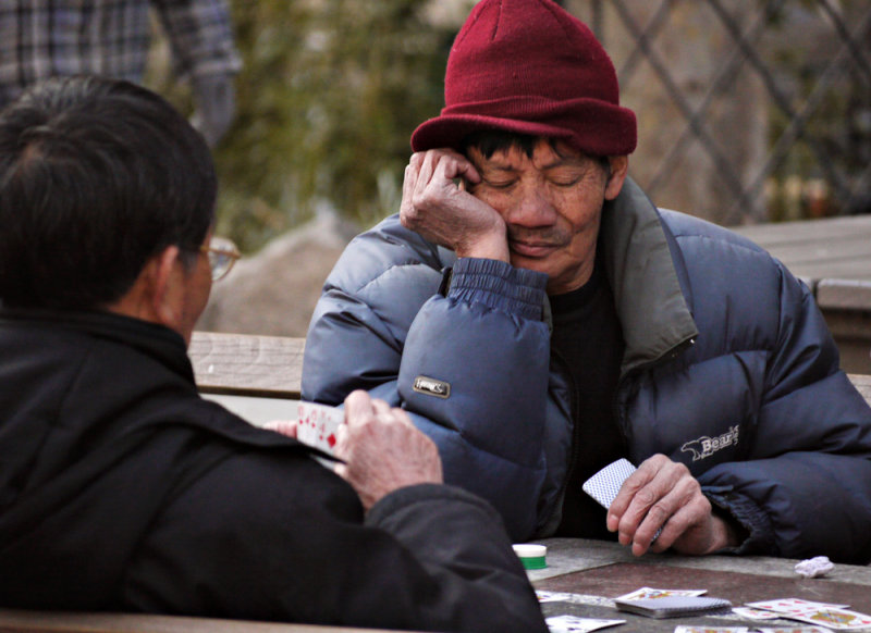 Card game, Columbus Park, Chinatown, New York City, New York, 2009