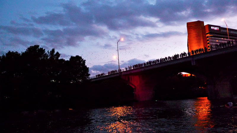 Bats (faintly) over the Columbia, Austin, Texas, 2009
