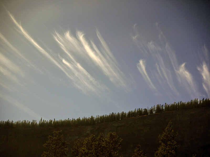 Feathery trails, Alberta, 2009