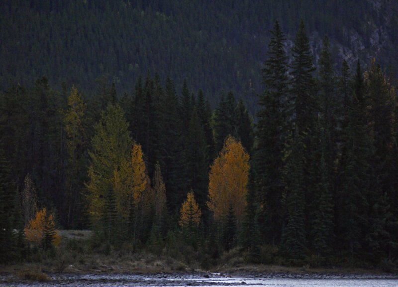 Athabasca Lake, Jasper National Park, Canada, 2009