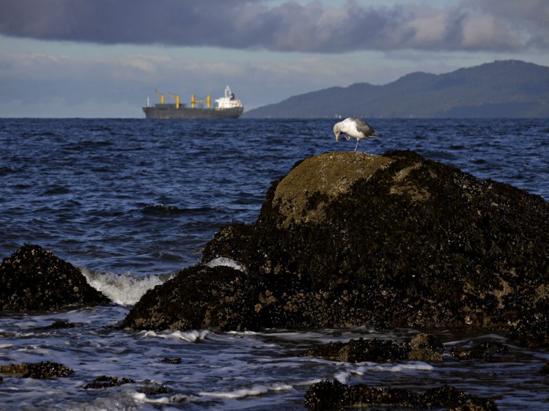 Seascape, English Bay, Vancouver, Canada, 2009