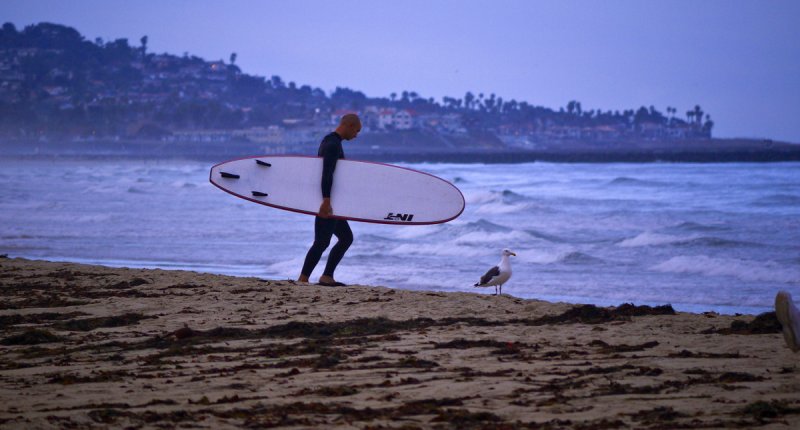 Early morning surfer, Mission Beach, San Diego, California, 2010