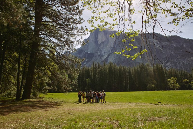 Field Trip, Yosemite National Park, California, 2008