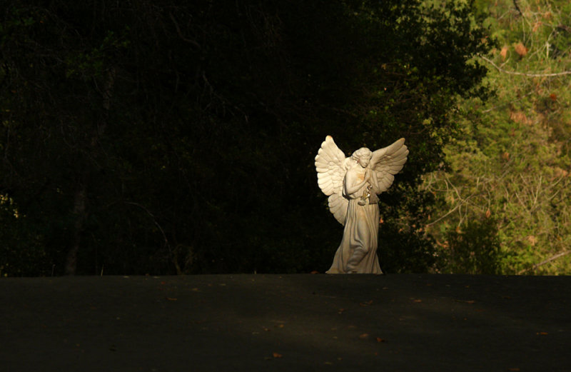 The Angel Road, Columbia, California, 2008