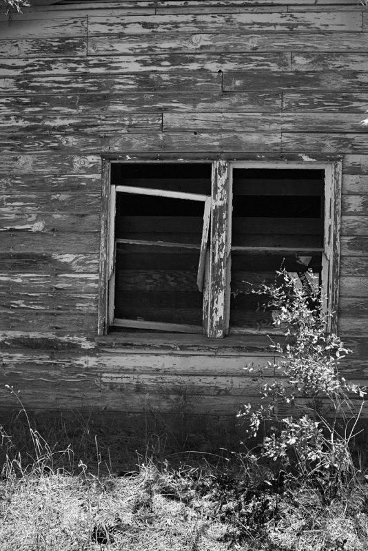Abandoned house, Placerville, California, 2008