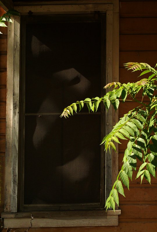 Phantom in the window, Chinese Camp, California, 2008