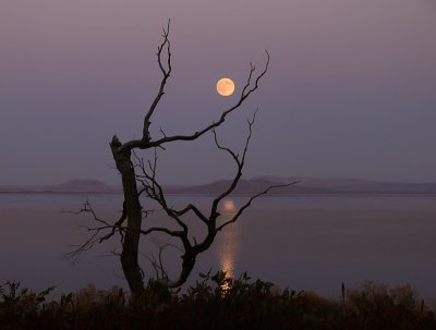 Moonscape, Tule Lake National Wildlife Refuge, California, 2008