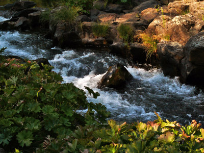 Upper Falls of the McCloud River, McCloud, California, 2008