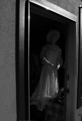 Apparition, Greenville, California, 2008