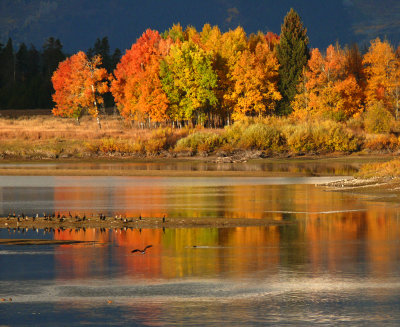 Autumn, Oxbow Bend, Grand Teton National Park, Wyoming, 2008
