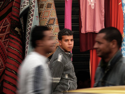 Sizing them up, Tozeur, Tunisia, 2008