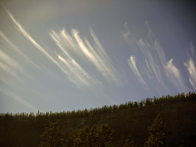 Feathery trails, Alberta, 2009