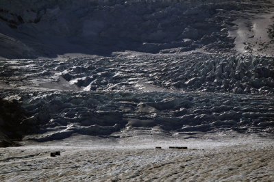 Columbia Ice Field, Jasper National Park, Canada, 2009