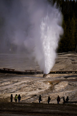 Honeycomb Geyser, Yellowstone National Park, Wyoming, 2010