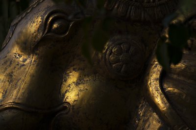 Brass Elephant, Santa Fe, New Mexico, 2010