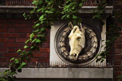 Stable, New York City, New York, 2010