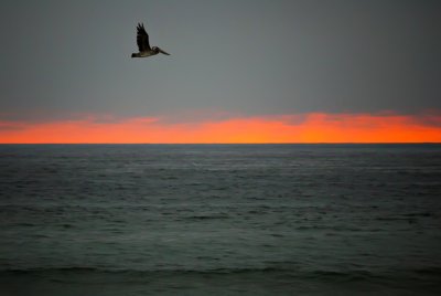 g1/82/265582/3/128754442.buRah9Od.jpg