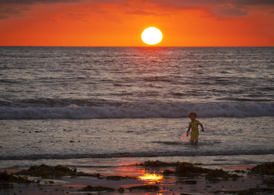 Bearing life, Mission Beach, San Diego, California, 2010