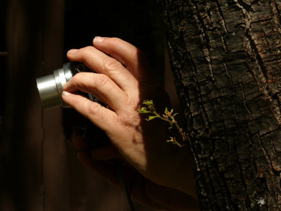 The Hand of Man, Yosemite National Park, California, 2008