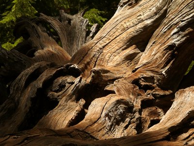 Faded inscriptions, Yosemite National Park, California, 2008