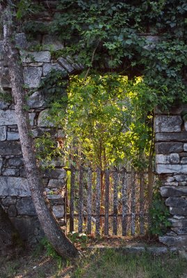 Ruined store, Volcano, California, 2008