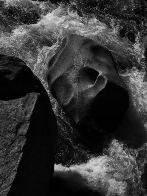 Cosumnes River, California, 2008