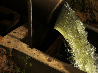 Irrigation, Los Banos, California, 2008