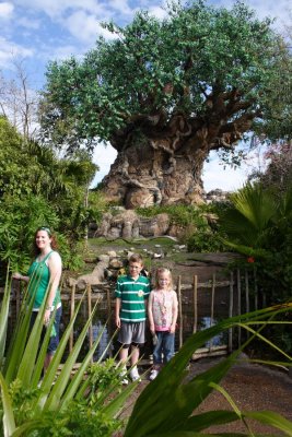 animal_kingdom