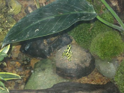 IMG_2852.JPG