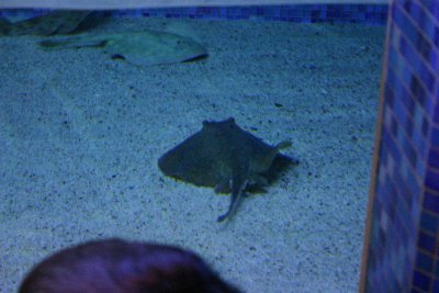 IMG_0122.JPG