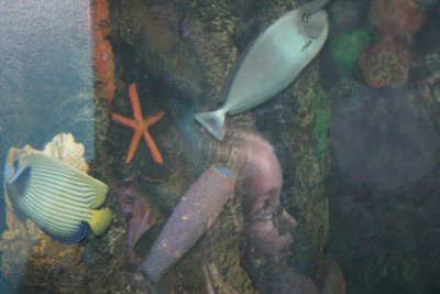 IMG_0133.JPG