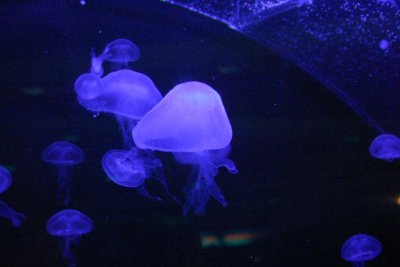 IMG_0138.JPG