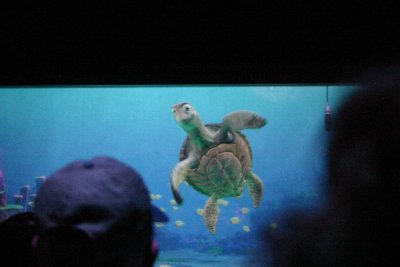 IMG_0139.JPG