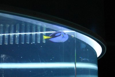 IMG_0146.JPG