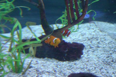 IMG_0147.JPG