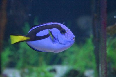 IMG_0150.JPG