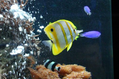 IMG_0151.JPG