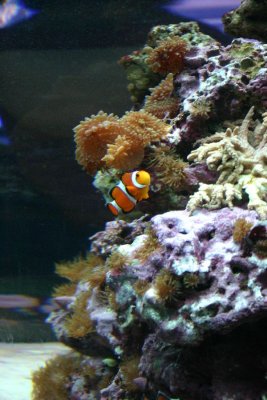 IMG_0153.JPG
