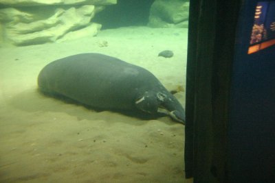 IMG_0175.JPG