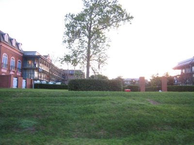 IMG_2949.JPG