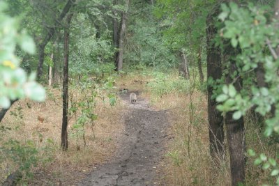 Mom on trail