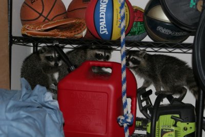 Kids in garage