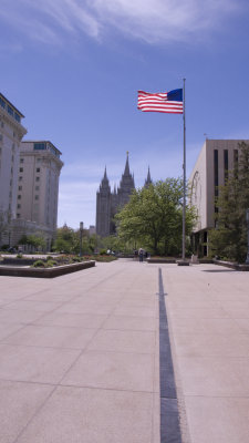 L1010329.jpg