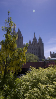 L1010339.jpg