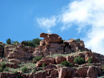 Turtle Rock