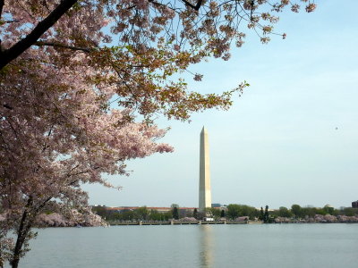 View of the Washington Monument