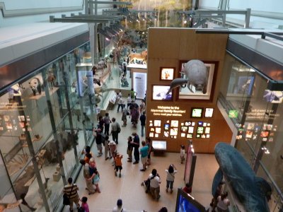 National History Museum